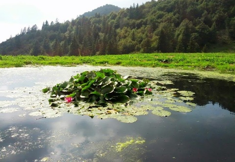 immagine Immagini dal Territorio