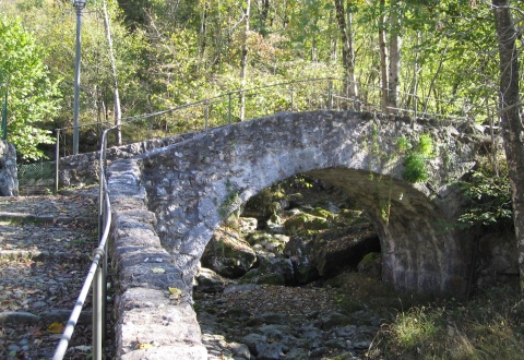 immagine Immagini dal Territorio