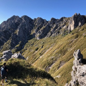 BANDO DI GARA TRAMITE ASTA PUBBLICA AFFITTO DEI PASCOLI MONTANI COMUNALI (MONTE ALBEN) 2026/2031